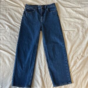 Everlane The Way High Jean in Size 28 straight leg High Waisted